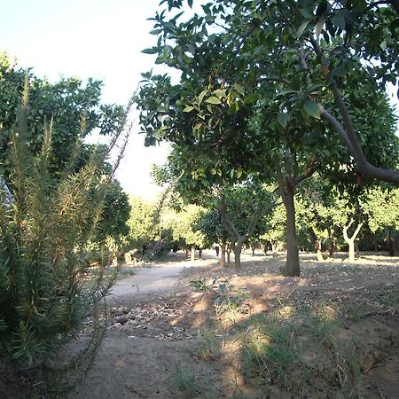 Villa Dei Giardini San Leone Bagian luar foto