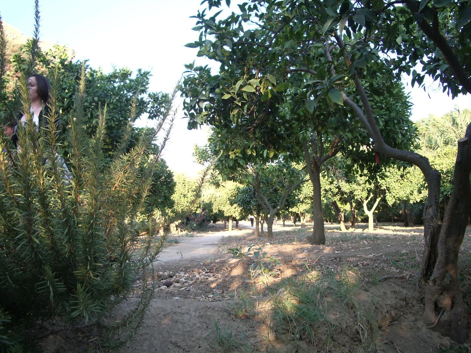 Villa Dei Giardini San Leone Bagian luar foto